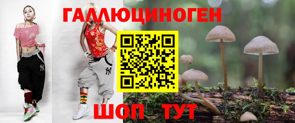 Дмитров  Галлюциногенные грибы Magic Shrooms  Вход с VPN  Галлюциногенные грибы Cubensis 